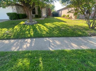 Janet F.'s Lawn Service service result