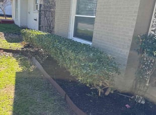Cleanups by Elston Diaz for Carla F. in Dallas, TX