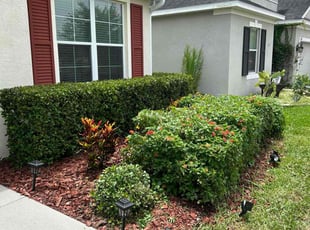 Bush Trimming by Corey Johnson for Jeanne H. in Riverview, FL