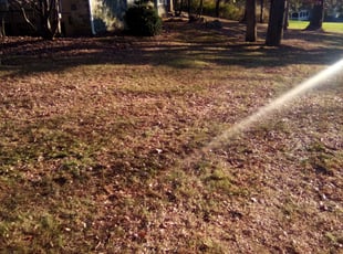 Cleanups by David Moyer for Sandra D. in Bethlehem, PA