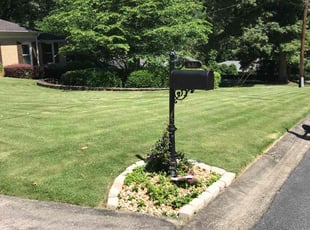 Dylan G.'s Lawn Service service result