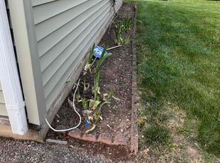 Weeding by Amilcar Flores for Luke A. in Woodbridge, VA
