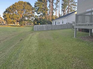 Rachel B.'s Lawn Mowing service result