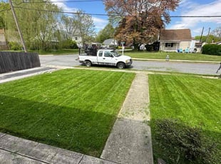 Adel A.'s Lawn Mowing service result