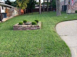 Amy S.'s Lawn Maintenance service result