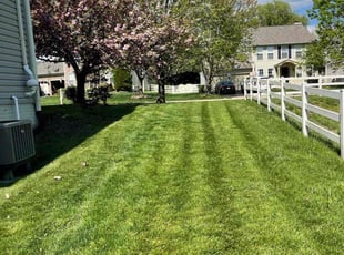Diane W.'s Lawn Service service result