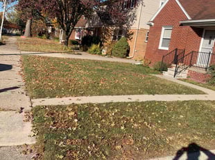 Leaf Removal by Kyle Yacko for Colin E. in Ferndale, MI