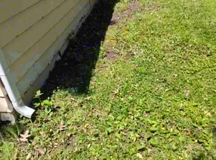 Leaf Removal by Rayshawn Martin for Sharon A. in Cleveland, OH