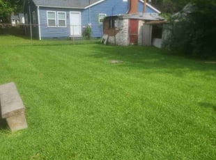 Angie T.'s Lawn Mowing service result