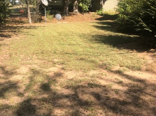 Leaf Removal by Jon Jarrell for Kenny M. in Snellville, GA
