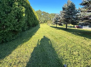 Sheryl B.'s Lawn Care service result