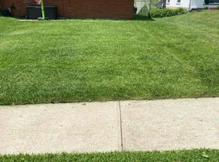 Bill T.'s Lawn Care service result