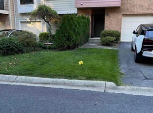 Catina A.'s Grass Cutting service result