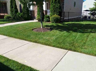Michael L.'s Lawn Care service result
