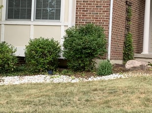 Bush Trimming by Davon Clark for Kenji A. in Xenia, OH