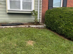 Bush Trimming by Steve Foster for Ashley T. in Glen Burnie, MD