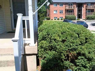 Bush Trimming by Caleb Patton for Mauricio M. in Cincinnati, OH