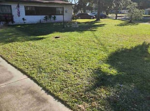 Dorothy W.'s Lawn Mowing service result