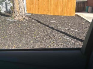 Leaf Removal by Laray Silz for Jordan S. in Northglenn, CO