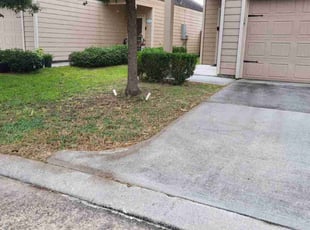 Bush Trimming by Pamela Gomez for Richard S. in Houston, TX