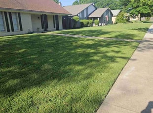 Sou L.'s Yard Cutting service result