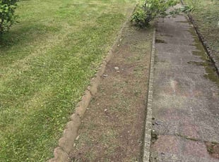 Weeding by Jovani Da silva for Mary J. in Bristol, RI