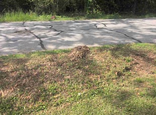 Leaf Removal by Michael Hale for Stephen P. in Mauldin, SC
