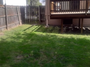 Leaf Removal by Lamonee Jackman for Michael M. in Omaha, NE