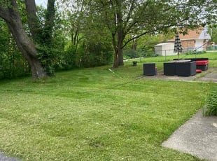 George L.'s Grass Cutting service result