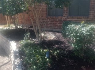 Weeding by Gralin Johnson for 1312 Crimson Glory Ln Keller M. in Keller, TX