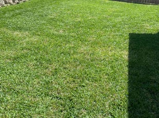 Amanda T.'s Lawn Mowing service result