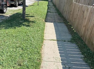 Dieudonne A.'s Lawn Maintenance service result