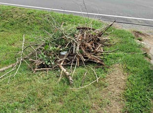Weeding by William Lee for Carol C. in Hendersonville, TN