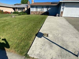 Terri L.'s Lawn Mowing service result
