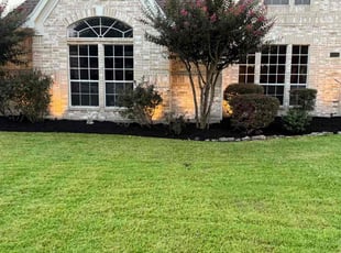 Bush Trimming by Edwin Fernandez for Mike B. in Houston, TX