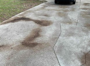 Leaf Removal by Paul Tollefson for Mark F. in Tallahassee, FL