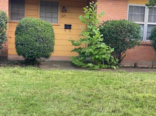Bush Trimming by Juan Ortiz for Martha P. in Wichita Falls, TX