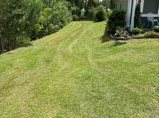 shawnee h.'s Lawn Service service result