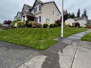 Chris E.'s Lawn Mowing service result