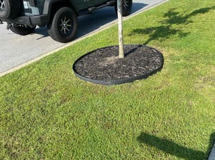 Weeding by Jayquan Grooms for Michael T. in Summerville, SC