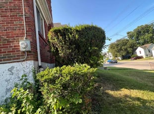 Bush Trimming by James Abernathy for Cheri C. in Cincinnati, OH