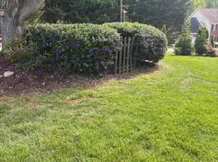 Bush Trimming by Beau Pais for Shelia L. in Greensboro, NC