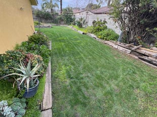 teresa w.'s Lawn Mowing service result