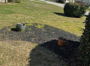 Weeding by Marco Garcia for Kenneth D. in Murrells Inlet, SC