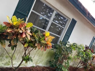 Cleanups by Glenn Montgomery for Gary M. in Largo, FL