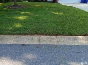 Stephanie M.'s Lawn Mowing service result