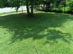 Cleanups by Merlin Livings for Michael H. in Lafayette, LA