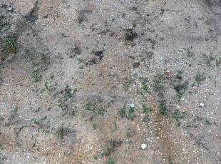 Cleanups by Phoeun Phal for Curtis H. in Wichita, KS
