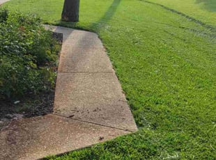 Marcus A.'s Grass Cutting service result