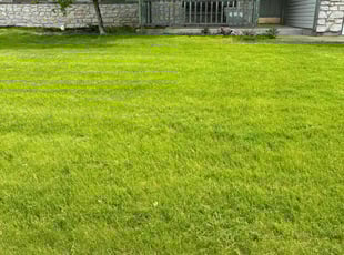 Priscilla S.'s Lawn Mowing Service service result